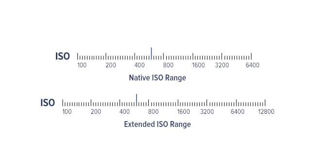 Qu'est-ce Que ISO sur un Appareil Photo ? [Le Guide Complet]